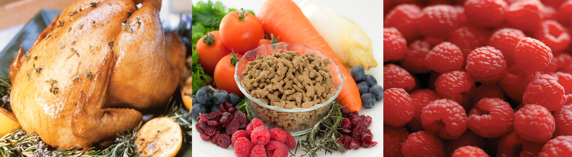 �o�C�l�C�`���[