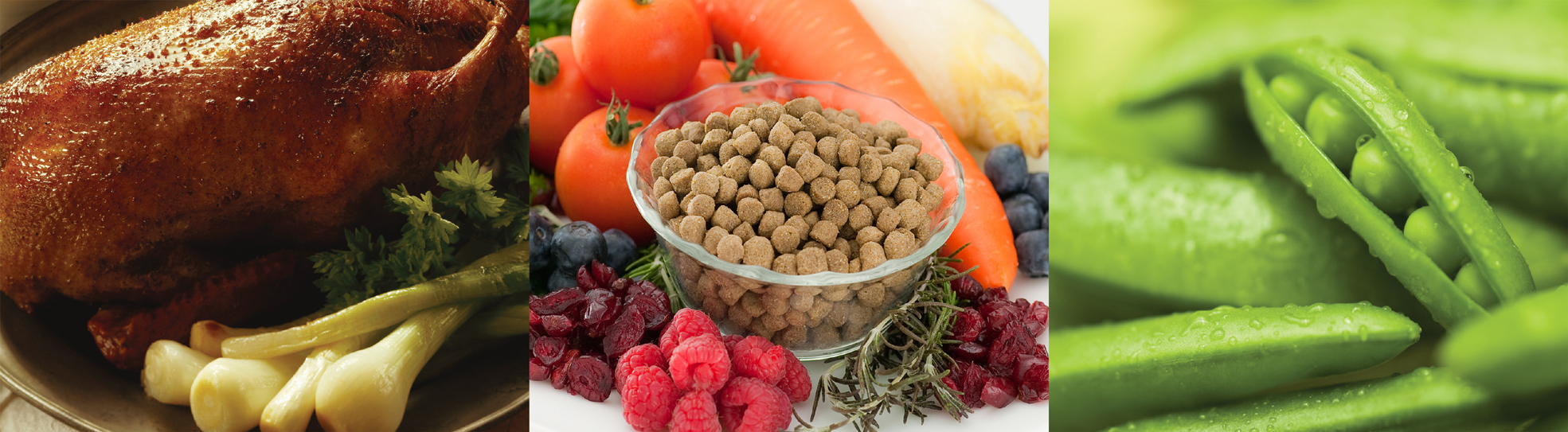 �o�C�l�C�`���[