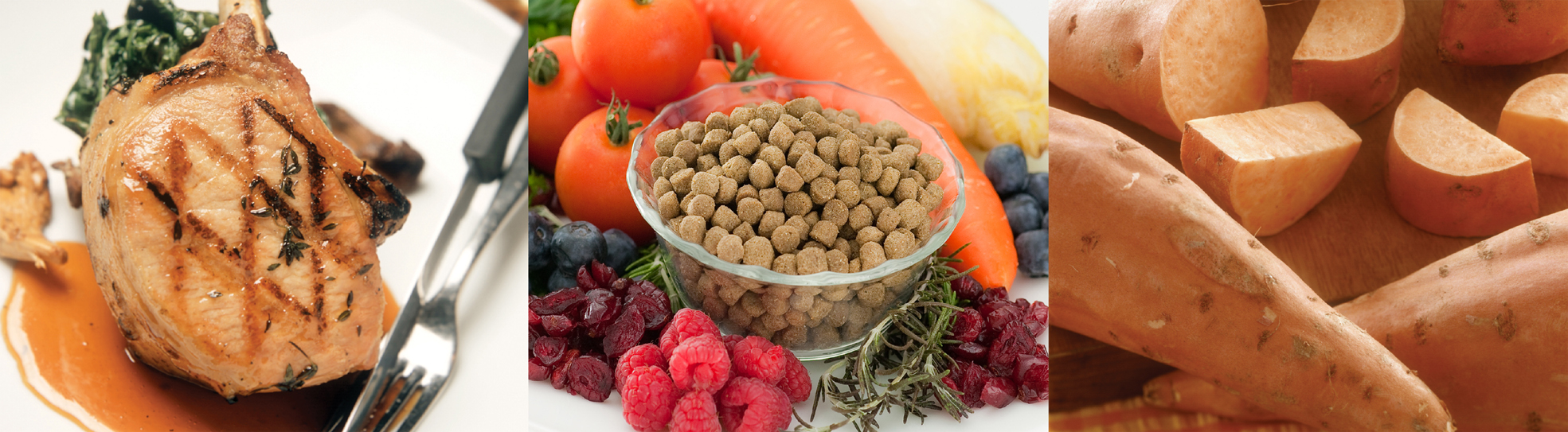 �o�C�l�C�`���[