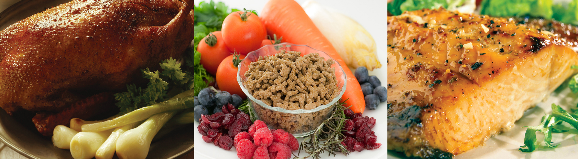 �o�C�l�C�`���[